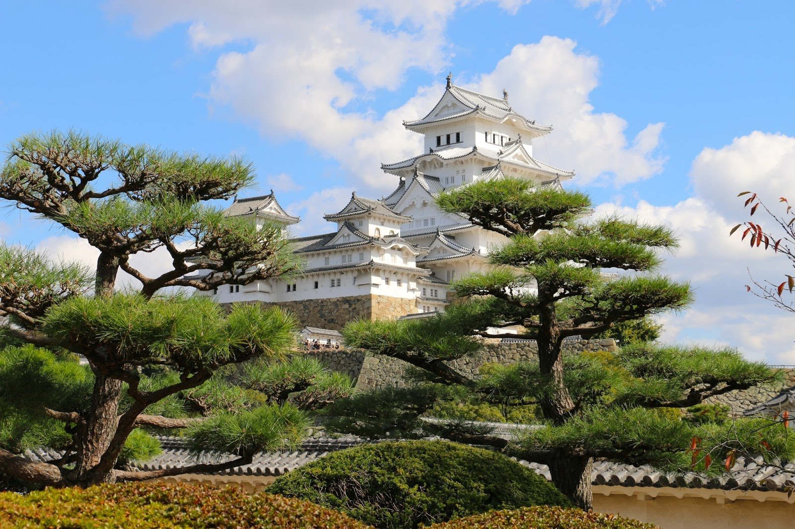 Sunday's Japan work